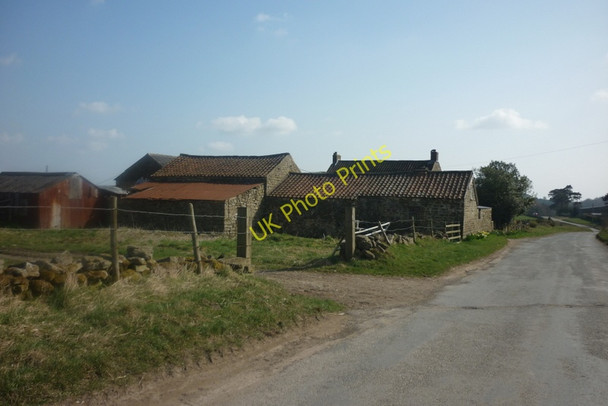 Photo 6"x4" Pickering Moor Farm, Stape, North Yorkshire Stape c2011