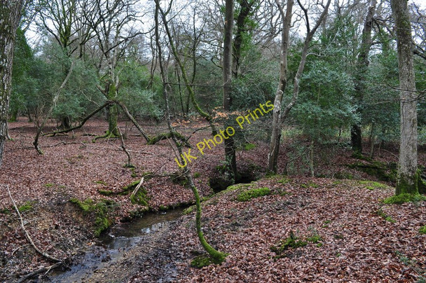 Photo 6"x4" Stream in Pipers Copse, Lower Canterton, New Forest Upper Canterton c2011