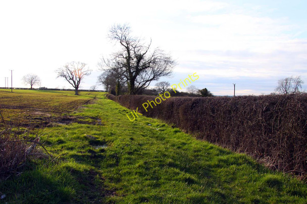 Photo 6"x4" Footpath west of Malmesbury along the hedgerow Malmesbury c2011