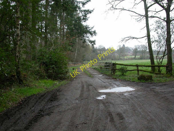 Photo 6"x4" Uddens, blocked right of way Broom Hill\/SU0302 c2011