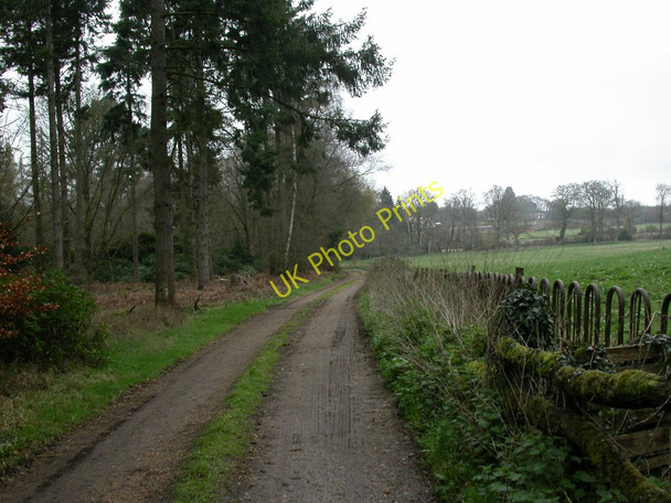 Photo 6"x4" Uddens, farm drive Broom Hill\/SU0302 c2011