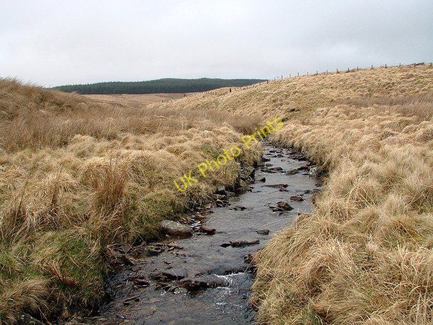 Photo 6"x4" Mytalog Fawr Esgair Ganol\/SN8776 c2011