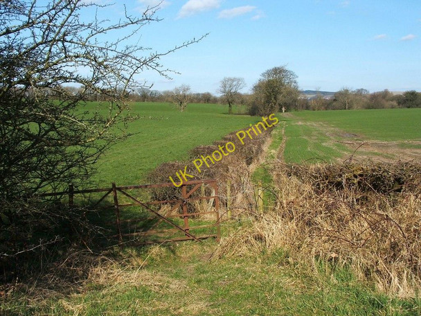 Photo 6"x4" Path to Dalmoak Ardoch\/NS3676 c2011