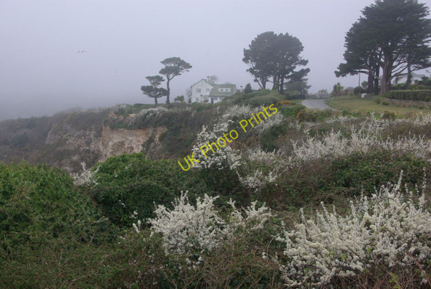 Photo 6"x4" Cliff top above Appletree Beach St Austell c2011