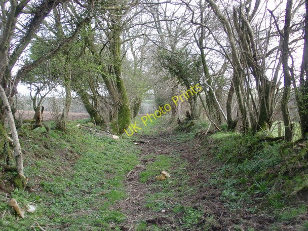 Photo 6"x4" Llwybr cyhoeddus Bwlchygwynt \/ Bwlchygwynt  public footpath Gellywen\/SN2723 c2011