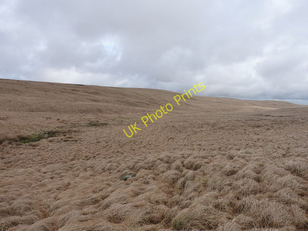 Photo 6"x4" The upper Gamlas Las - a tributary of the Nant Hirin Pant-llwyd c2011
