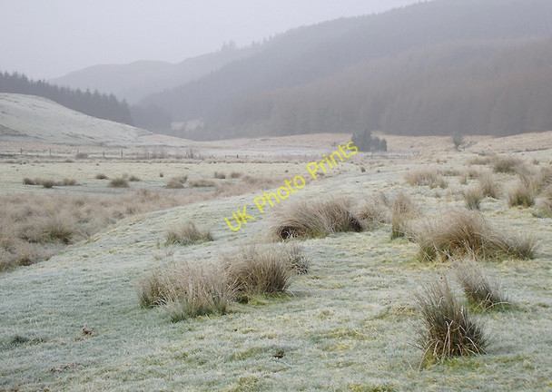 Photo 6"x4" Frosty spring morning in the Tywi Valley, Ceredigion Dolgoch\/SN8056 c2011
