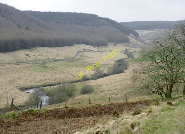 Photo 6"x4" The Tywi Valley near Dolgoch, Ceredigion Dolgoch\/SN8056 c2011