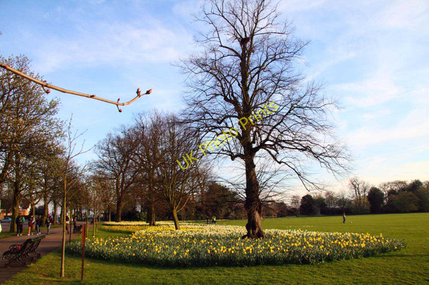 Photo 6"x4" Greenwich Park Greenwich\/TQ3977 c2011