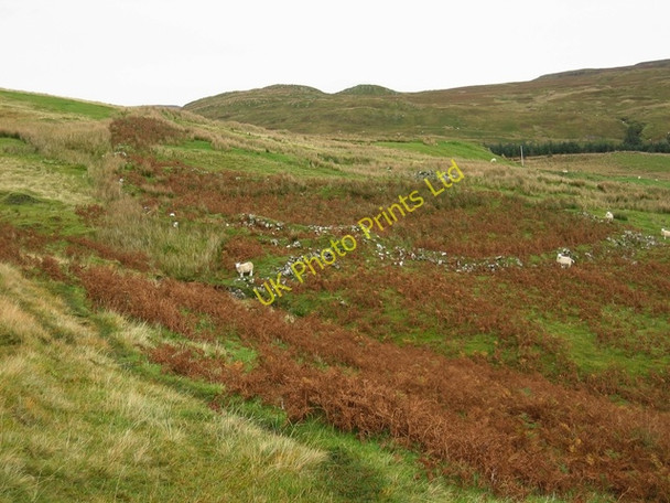 Photo 6"x4" Inver Meadale Carbost\/NG3831 c2006