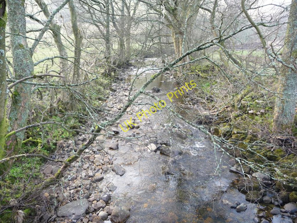 Photo 6"x4" The River Eden Shoregill c2011