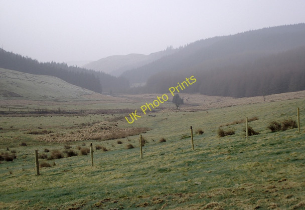 Photo 6"x4" Cwm Tywi south of Dolgoch Hostel, Ceredigion Dolgoch\/SN8056 c2011