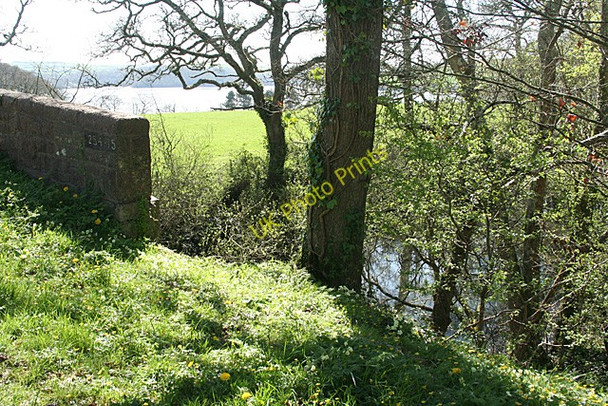 Photo 6"x4" Saltash: railway near Greeps Trehan c2011