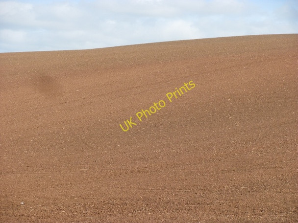 Photo 6"x4" Arable Lammermuirs Houndwood c2011