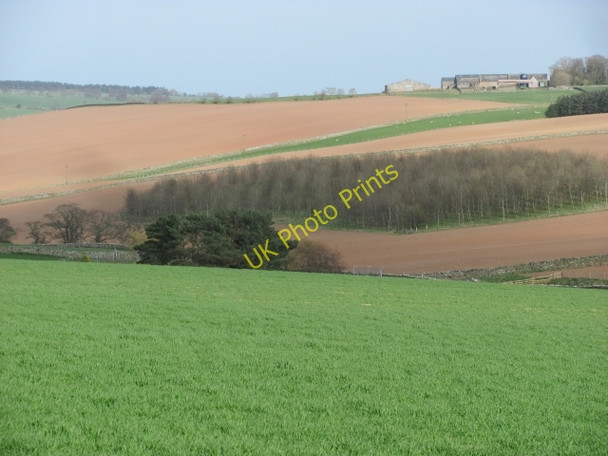 Photo 6"x4" Woods and arable land, Brockholes Houndwood c2011