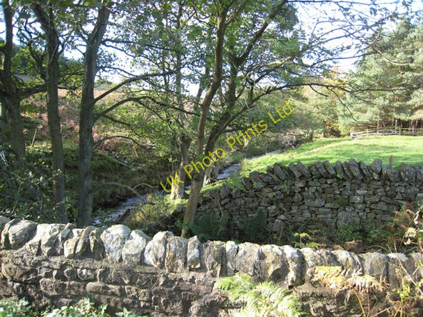 Photo 6"x4" Harthope Beck Upper Town\/NZ0737 c2006