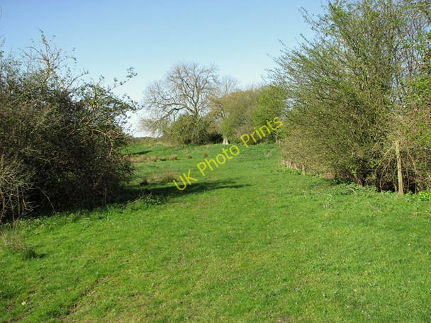 Photo 6"x4" From Forncett to Tharston on the Tas Valley Way Tharston c2011