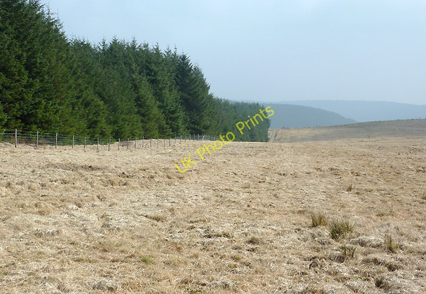 Photo 6"x4" Moorland and forest west of Soar-y-Mynydd, Ceredigion Camddwr\/SN7754 c2011