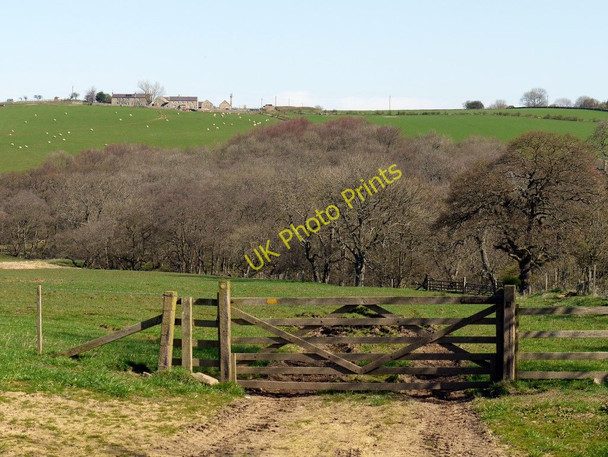 Photo 6"x4" Gate on footpath to Overthwarts Edlingham c2011