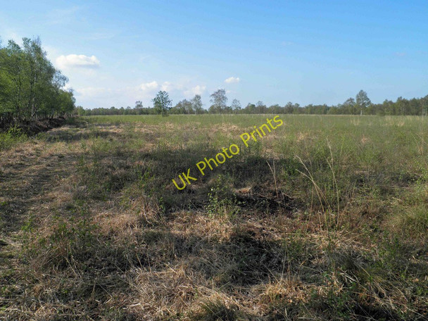 Photo 6"x4" Crowle Waste or Moors Crowle Hill c2011