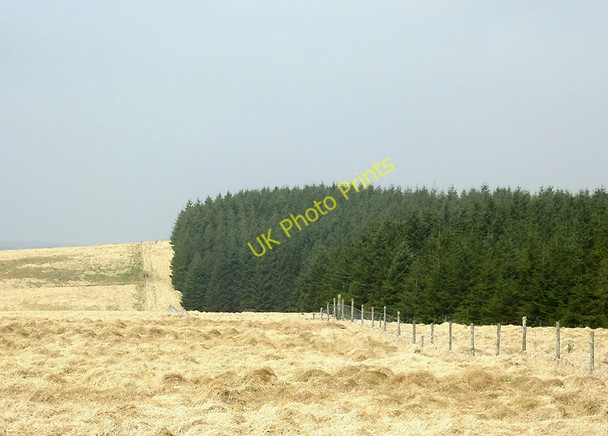 Photo 6"x4" Moorland and forest west of Soar-y-Mynydd, Ceredigion Gouallt c2011