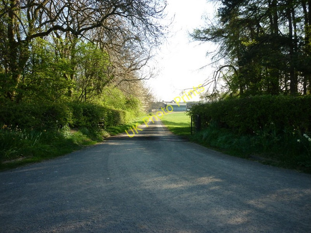 Photo 6"x4" The way to Pasture Farm, North Yorkshire Weaverthorpe c2011