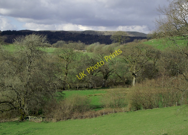 Photo 6"x4" Farmland south of Rhandirmwyn, Carmarthenshire Cilycwm c2011