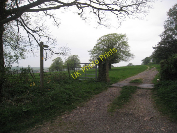 Photo 6"x4" Cattle grid at the entrance to Thorganby Hall Swinhope c2011