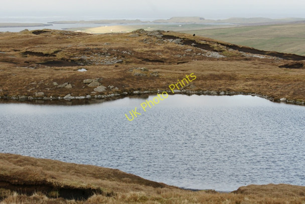 Photo 6"x4" Black Shun, Valla Field Westing\/HP5705 c2011