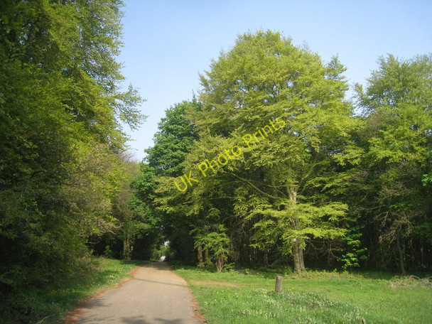 Photo 6"x4" Sturton Lane entering Stonepit Wood Greetwell c2011