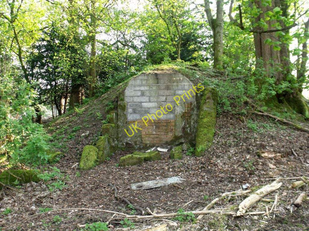 Photo 6"x4" Larbert Estate, ice house North Broomage c2011