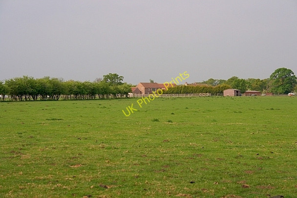 Photo 6"x4" Fir Tree Farm Crockey Hill c2011
