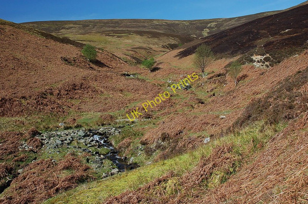 Photo 6"x4" Kirkhope Burn Langhaugh\/NT2031 c2011