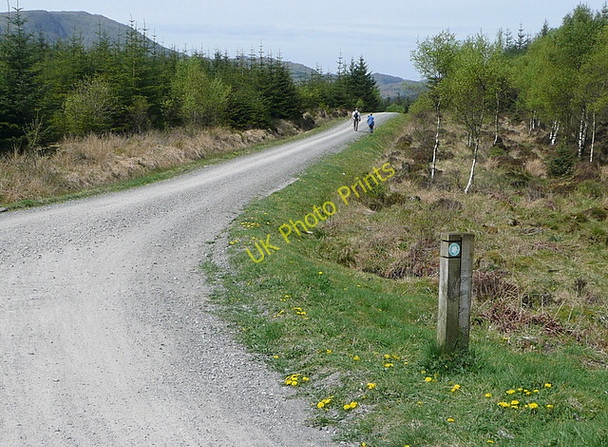 Photo 6"x4" Trail through Hawkshead Hall Park Hawkshead Hill c2011