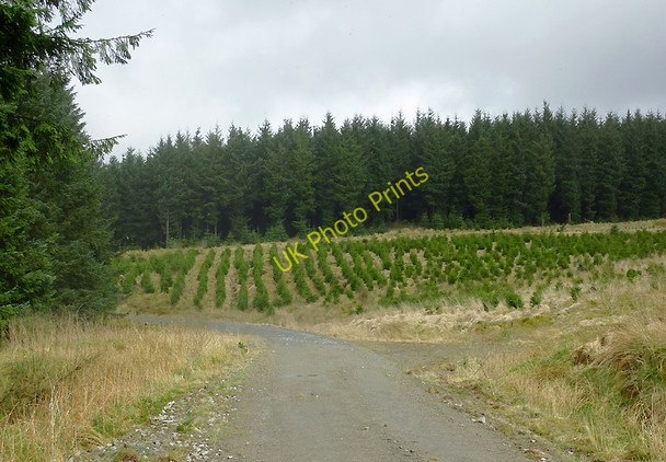 Photo 6"x4" Forestry road on Esgair Ganol, Ceredigion Esgair Ganol\/SN7854 c2011