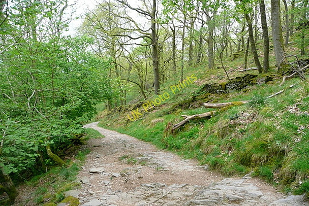 Photo 6"x4" Skelghyll path Ambleside c2011