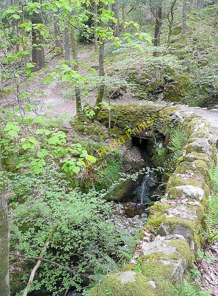 Photo 6"x4" Bridge in Skelghyll Wood Ambleside c2011