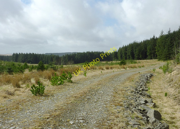 Photo 6"x4" Tywi Forest road on Esgair Ganol, Ceredigion Esgair Ganol\/SN7854 c2011