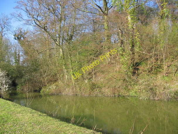 Photo 6"x4" Anstey Castle Anstey\/TL4032 c2010