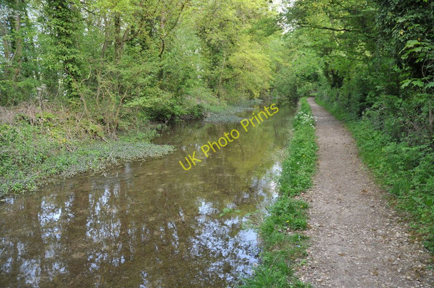 Photo 6"x4" River Thames at Ashton Keynes Ashton Keynes c2011