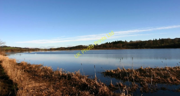 Photo 6"x4" Castle Semple Loch Lochwinnoch c2005