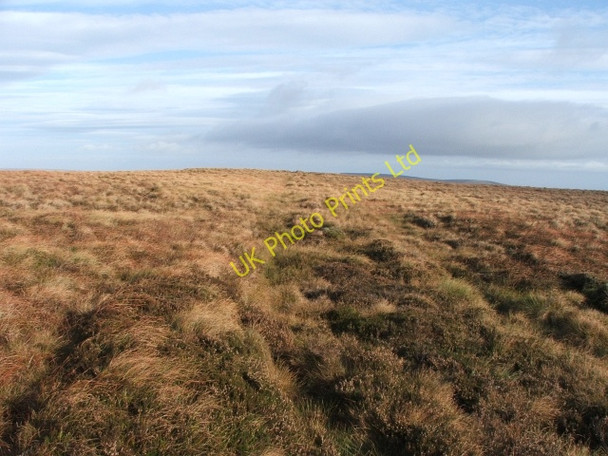 Photo 6"x4" Naughtberry Hill. Cray\/SD9479 c2006