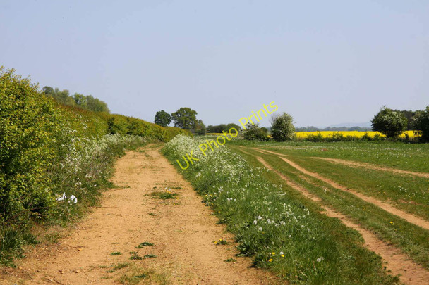Photo 6"x4" Track to Drayton St Leonard Berinsfield c2011