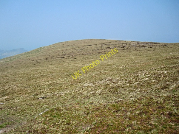 Photo 6"x4" Rough Heath Feohanagh\/Q3909 c2011