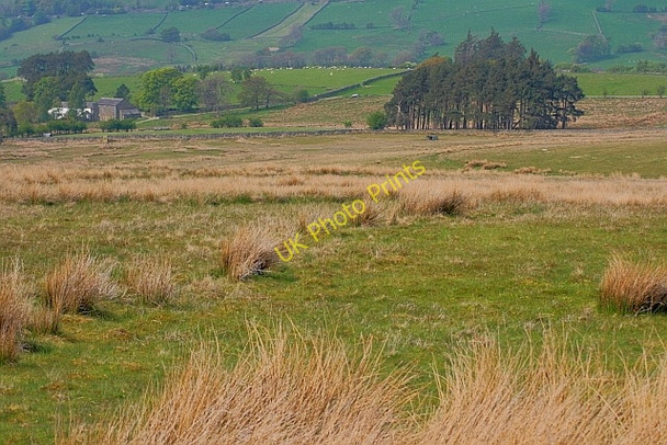 Photo 6"x4" Threlkeld Common Scales\/NY3426 c2011