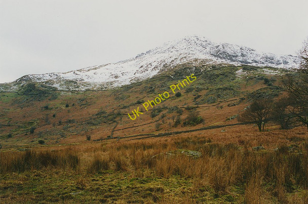 Photo 6"x4" Rough grazing near Meillionen Beddgelert c1995