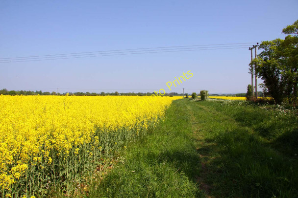 Photo 6"x4" Footpath to Drayton St Leonard Berinsfield c2011