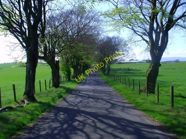 Photo 6"x4" Torbrex, Hulks Road Greengairs c2011