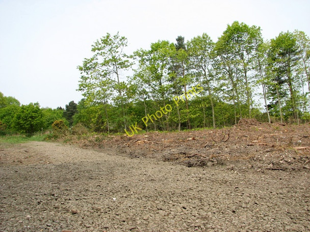 Photo 6"x4" Public footpath through Edgefield Woods Holt\/TG0838 c2011