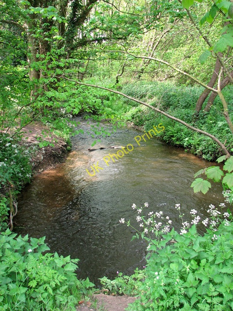 Photo 6"x4" The River Glaven east of Edgefield Woods Holt\/TG0838 c2011